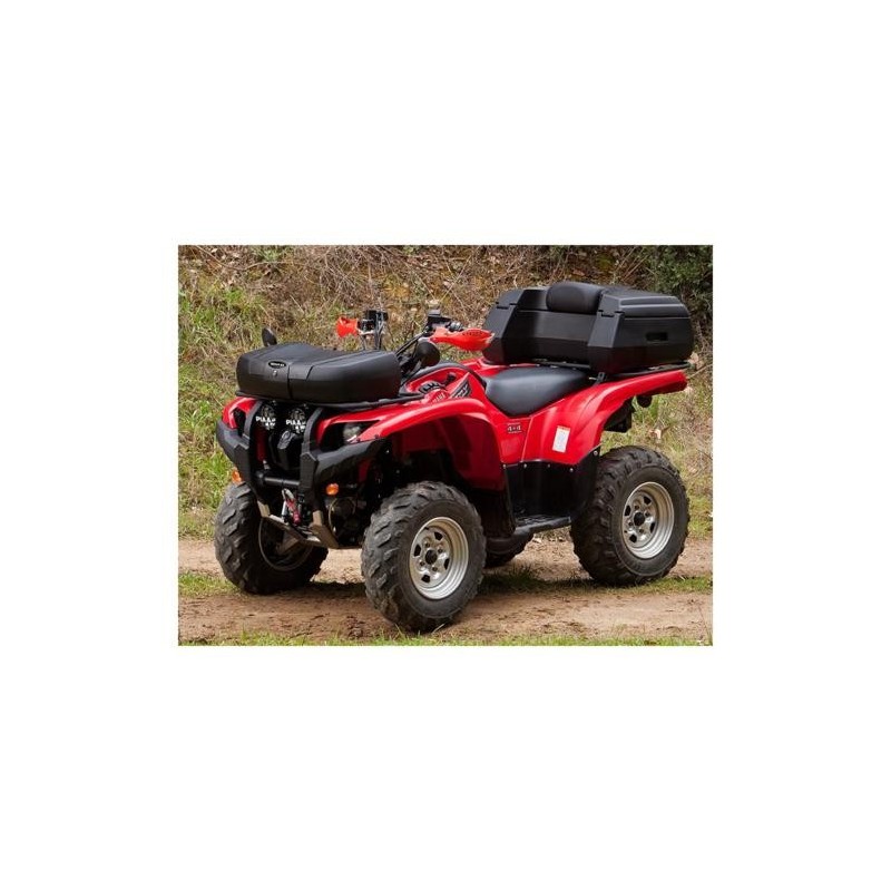 BAULETE QUAD ATV 40 DELANTERO NG